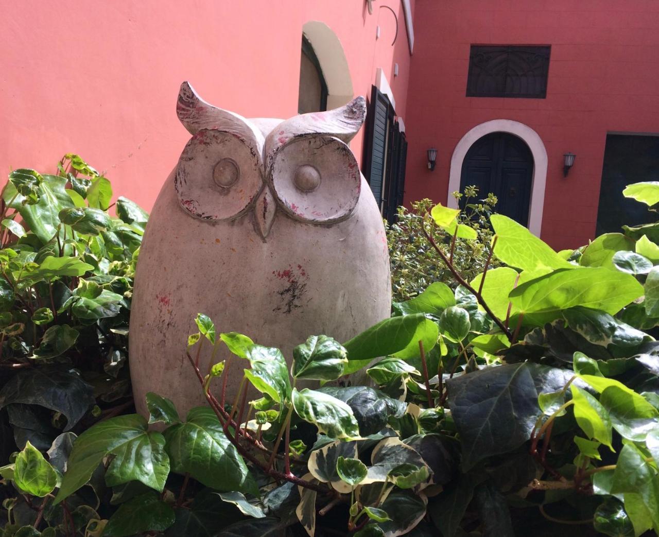 Donnenzo Bed & Breakfast Latiano Exterior photo